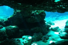 photo-1-6